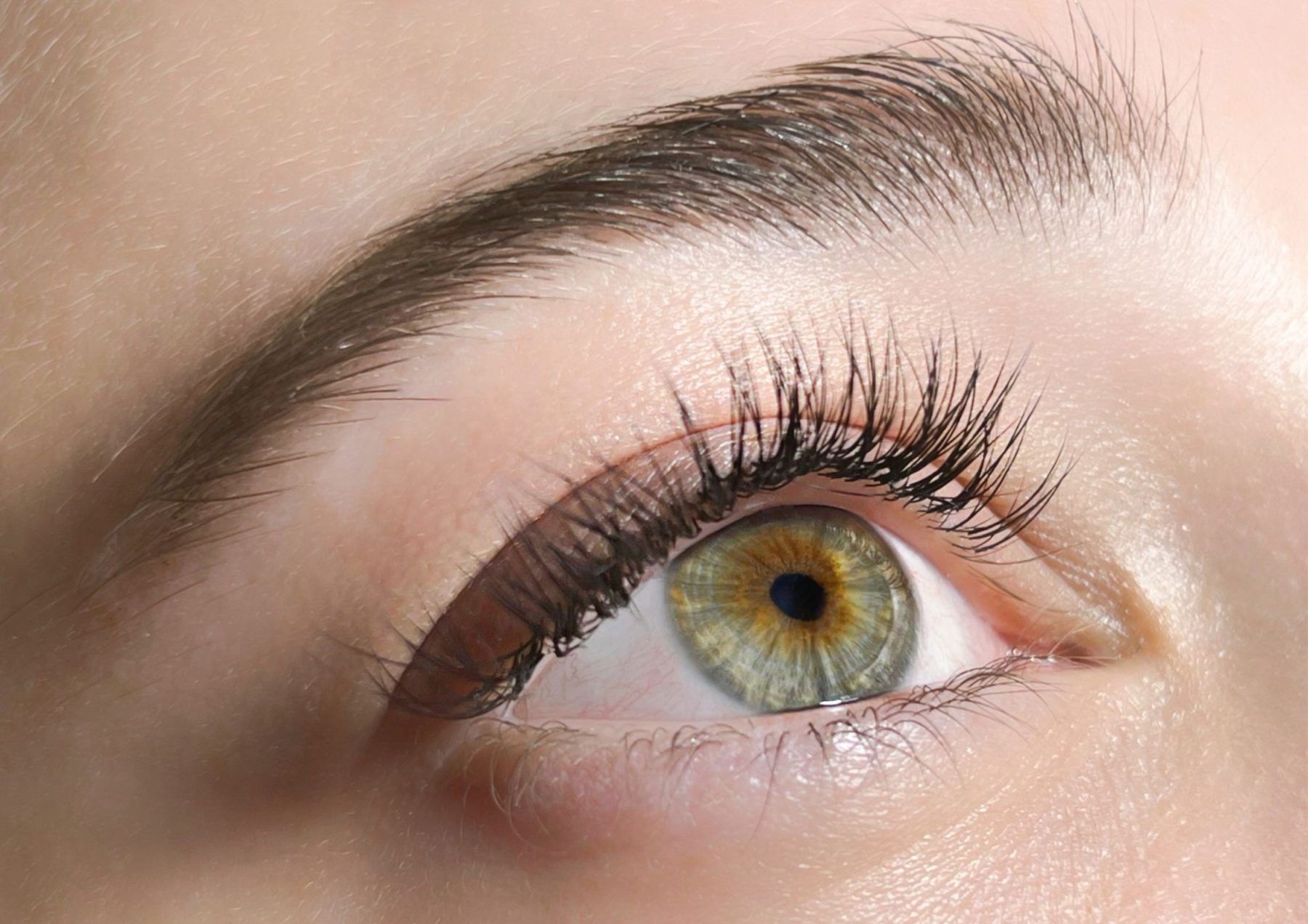 Eyelash and Eyebrow Care 