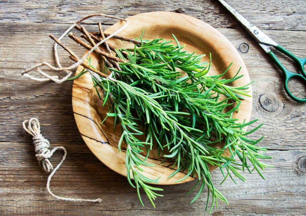 ROSEMARY BENEFITS ROSEMARY BENEFITS